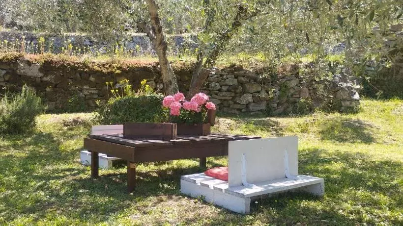 تختخواب و صبحانه La Casa Tra Gli Ulivi