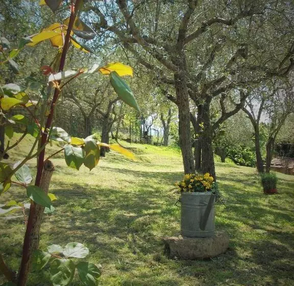 تختخواب و صبحانه La Casa Tra Gli Ulivi