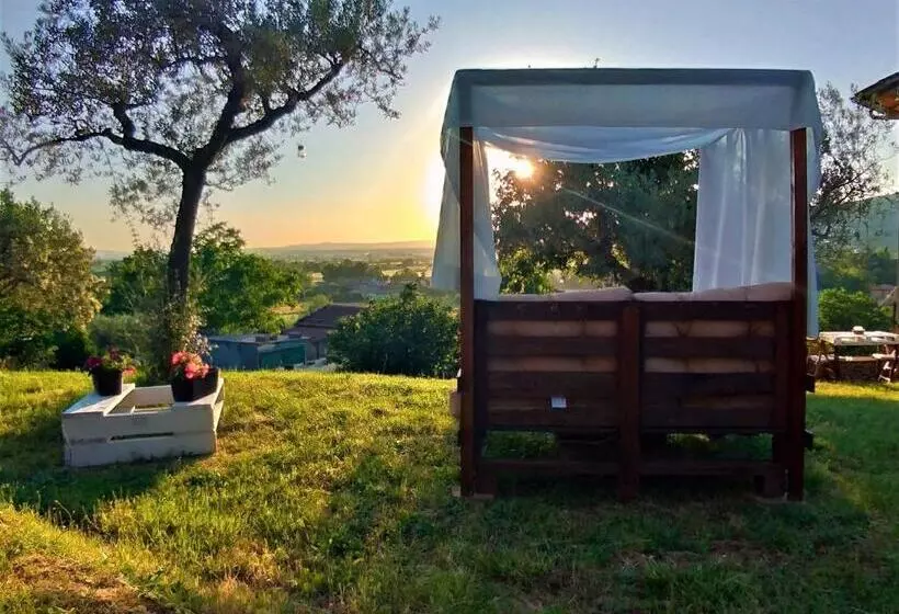تختخواب و صبحانه La Casa Tra Gli Ulivi