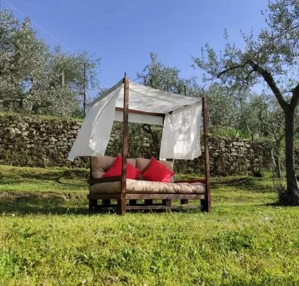 تختخواب و صبحانه La Casa Tra Gli Ulivi