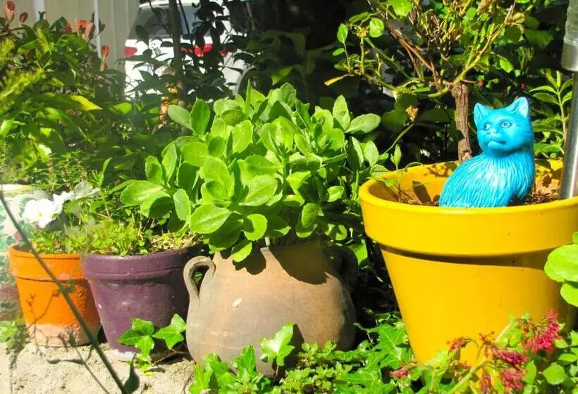 ベッドアンドブレックファースト La Voûte De Lapparan