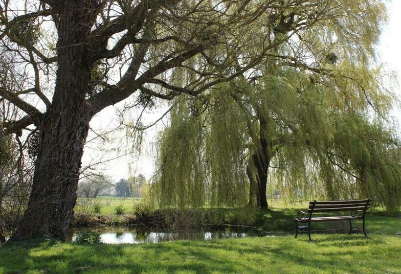Bed and Breakfast Les Hirondelles Du Moulin