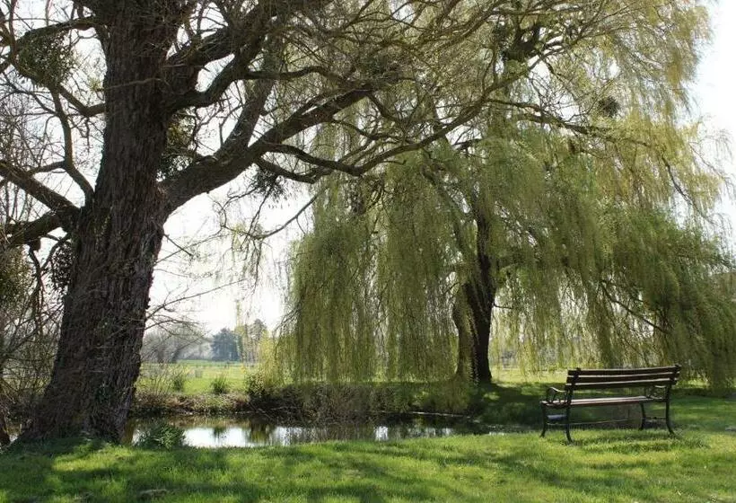 Aamiaismajoitus (B&B) Les Hirondelles Du Moulin