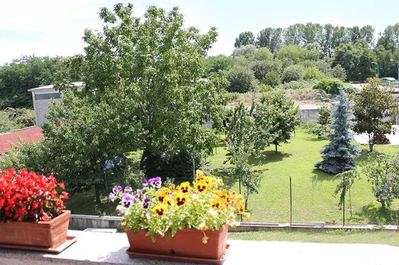 Aamiaismajoitus (B&B) Riders