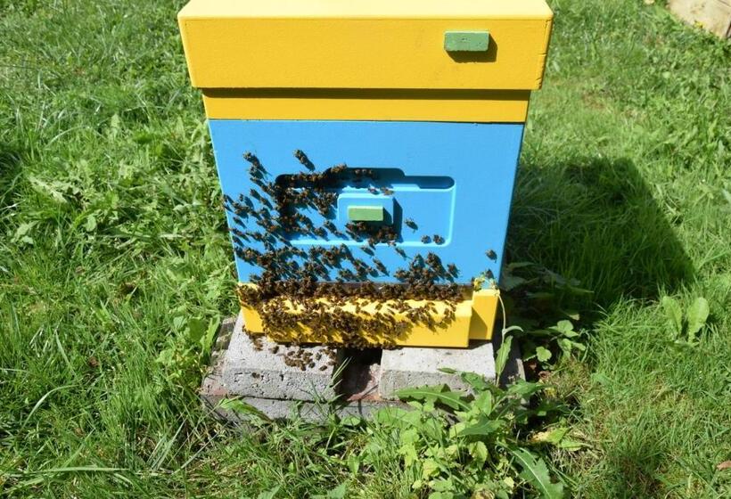 فندق Agroturystyka U Ani