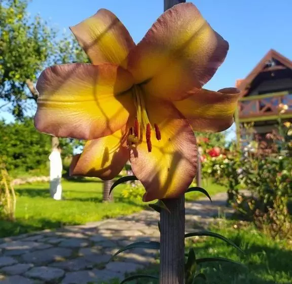 ホテル Agroturystyka U Ani
