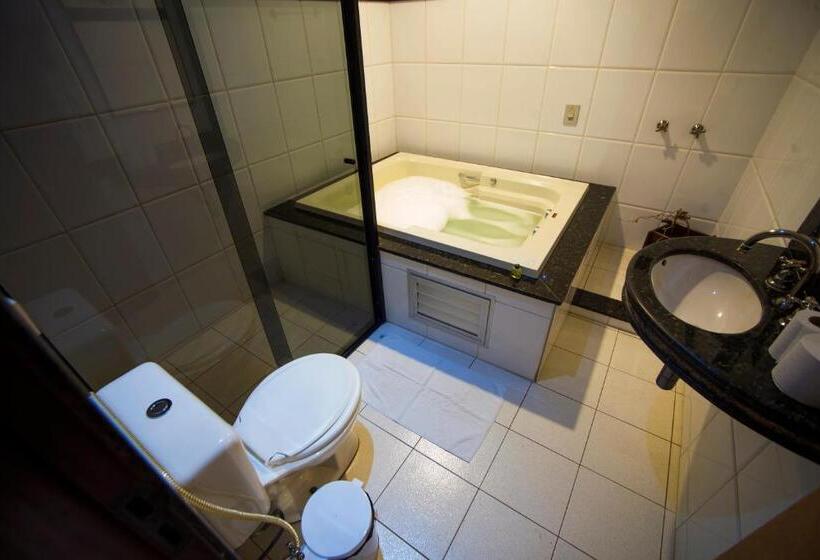 酒店 Centerminas Palace