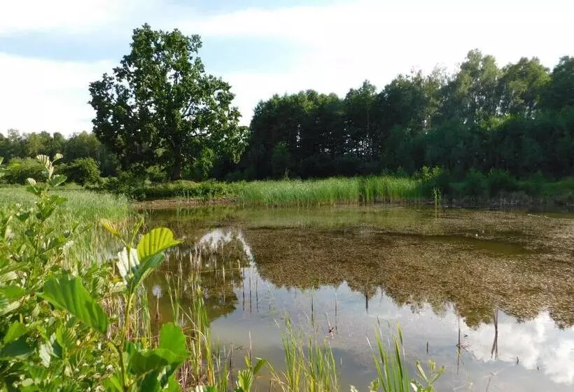 ホテル Gospodarstwo Agroturystyczne Biebrzanska Goscina