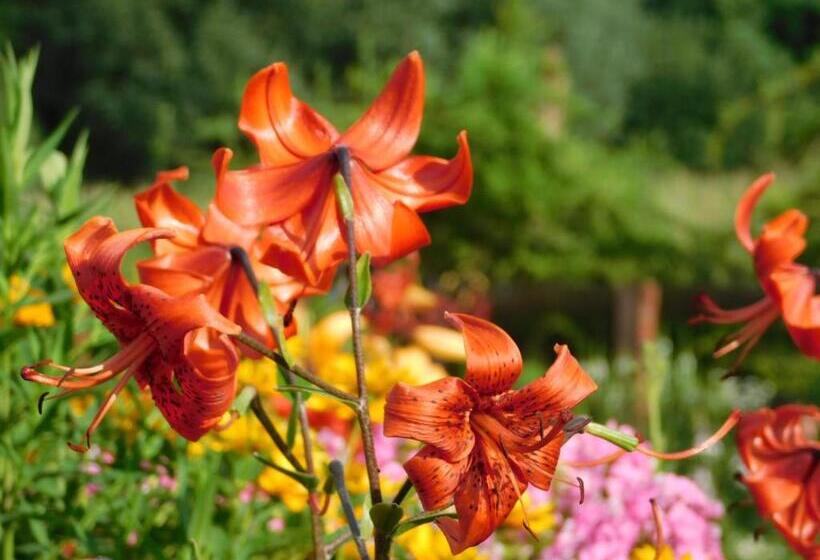 Hotel Gospodarstwo Agroturystyczne Biebrzanska Goscina