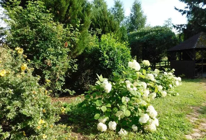 ホテル Gospodarstwo Agroturystyczne Biebrzanska Goscina