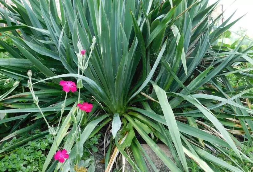 ホテル Gospodarstwo Agroturystyczne Biebrzanska Goscina