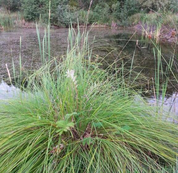 Hotel Gospodarstwo Agroturystyczne Biebrzanska Goscina
