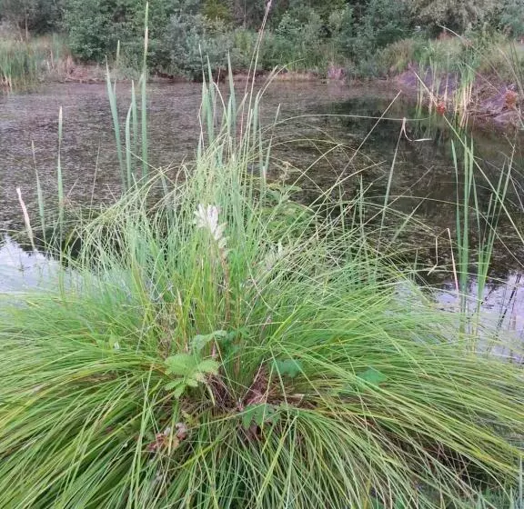 ホテル Gospodarstwo Agroturystyczne Biebrzanska Goscina