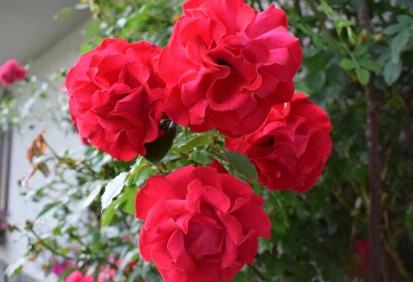 Отель Ferienwohnung Wachmann