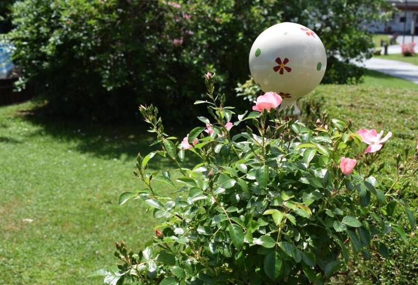 Отель Ferienwohnung Wachmann