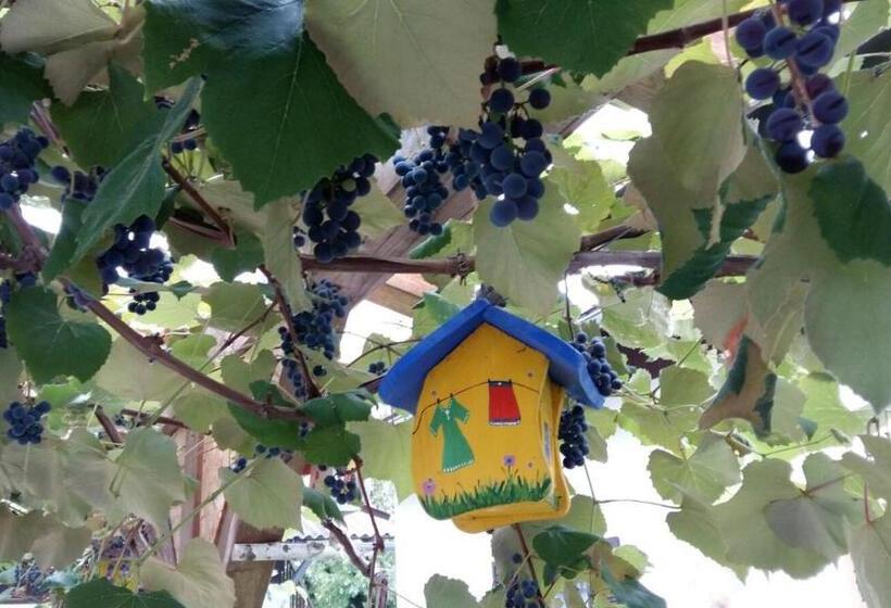 Отель Ferienwohnung Wachmann