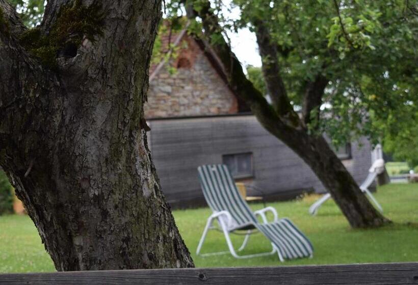 Отель Ferienwohnung Wachmann