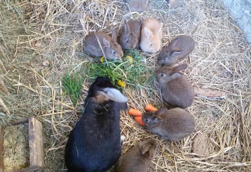 Отель Ferienwohnung Wachmann