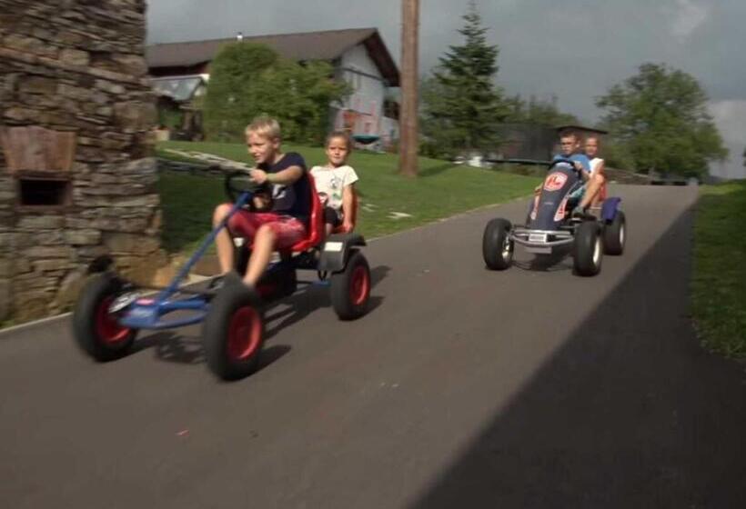 Отель Ferienwohnung Wachmann