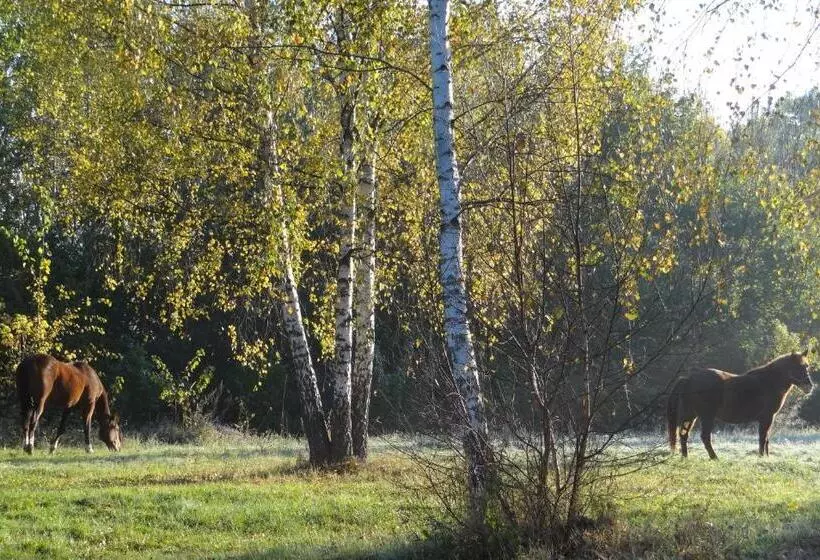 ホテル Wieża Na Górce