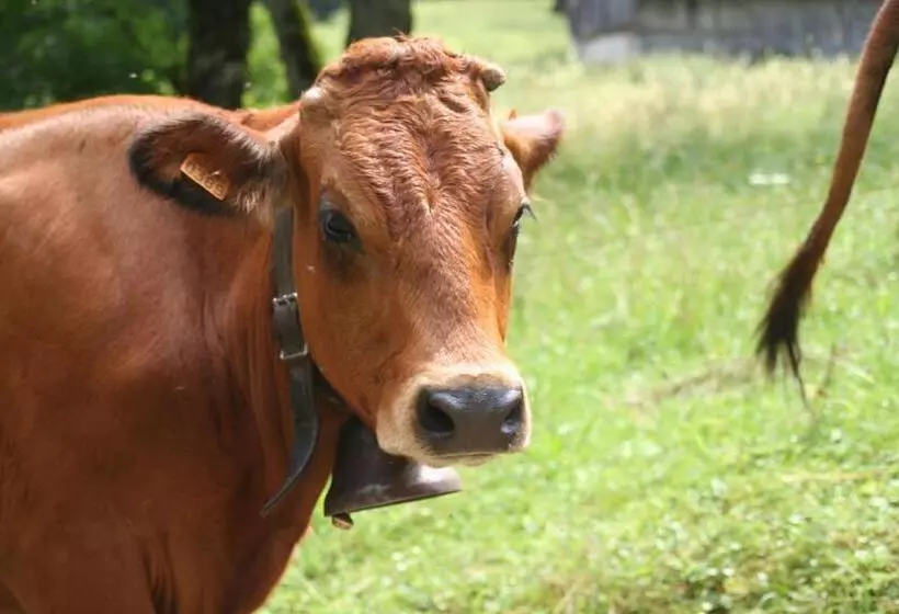 Majatalo La Mazzerinière