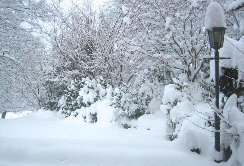 Пансион La Mazzerinière