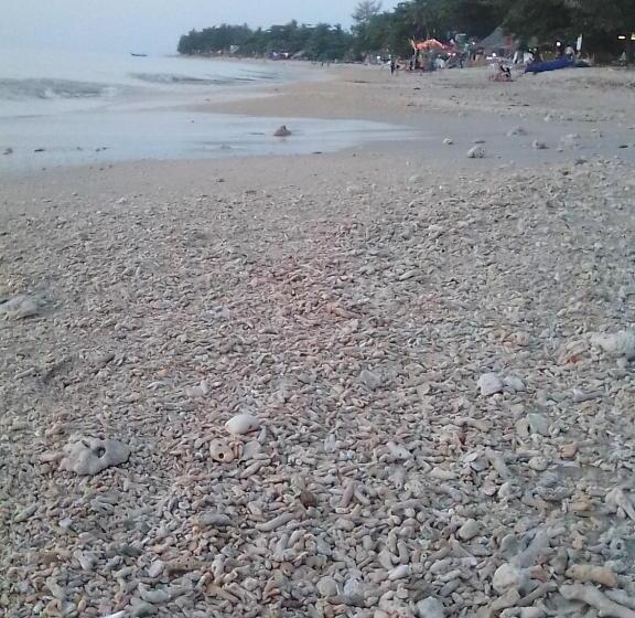 פנסיון Lanta Daisy Residence