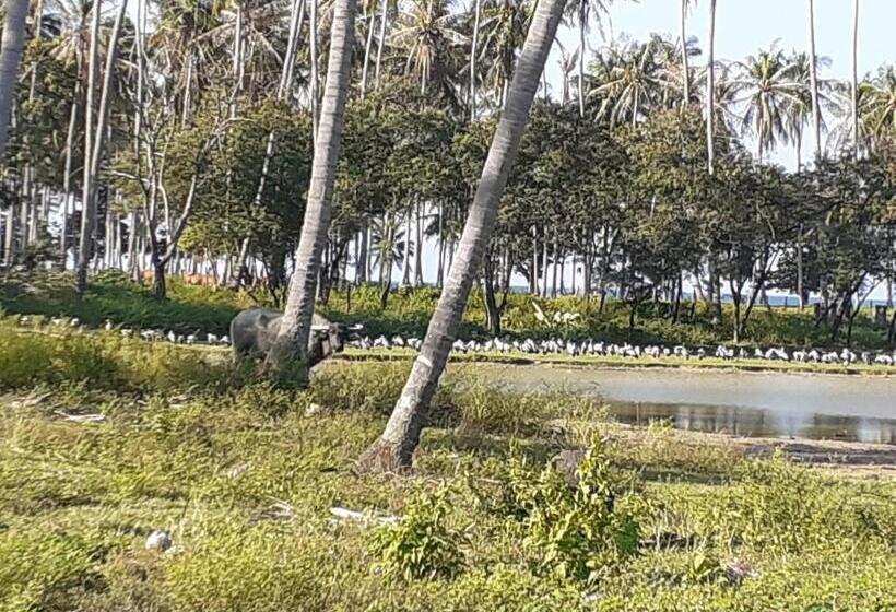 פנסיון Lanta Daisy Residence