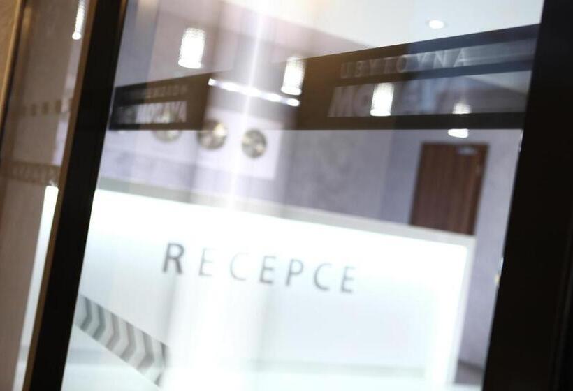 펜션 Penzion Morava