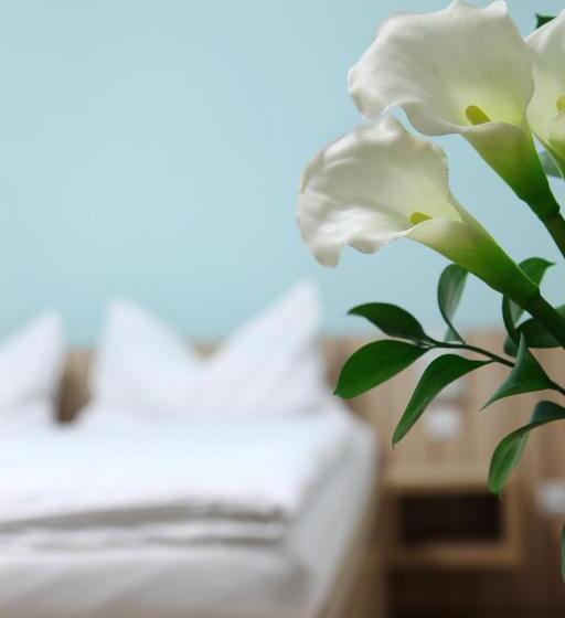 펜션 Penzion Morava