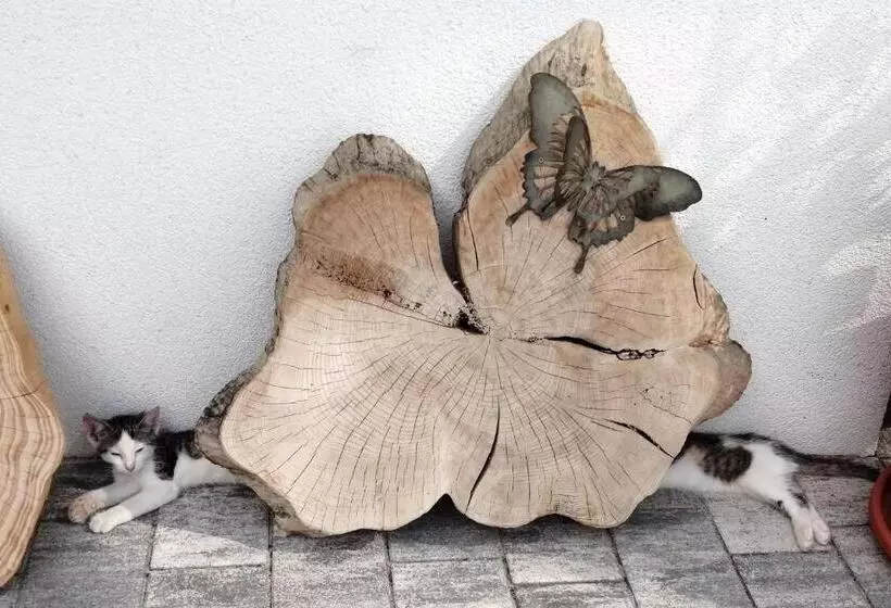 ペンション Wohlfühlhof Bachzelt