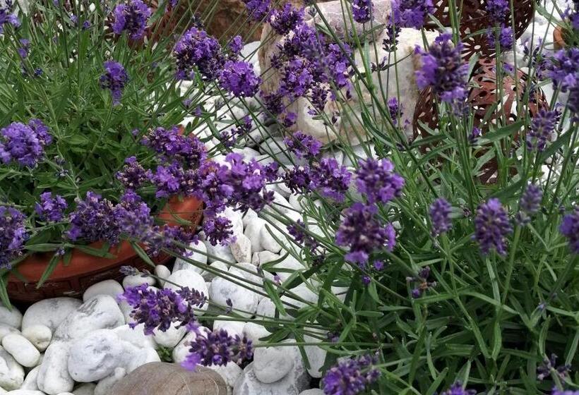 膳宿费 Wohlfühlhof Bachzelt