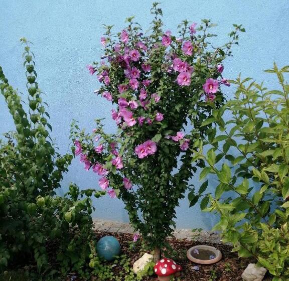 膳宿费 Wohlfühlhof Bachzelt