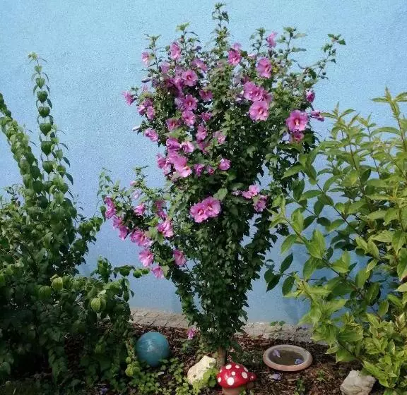 ペンション Wohlfühlhof Bachzelt