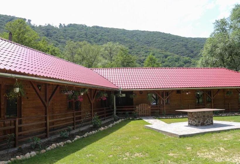 Pensiunea La Busu Bigar