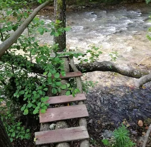 Pensiunea La Busu  Bigar