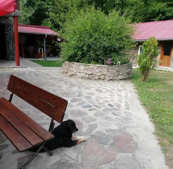 Pensiunea La Busu Bigar