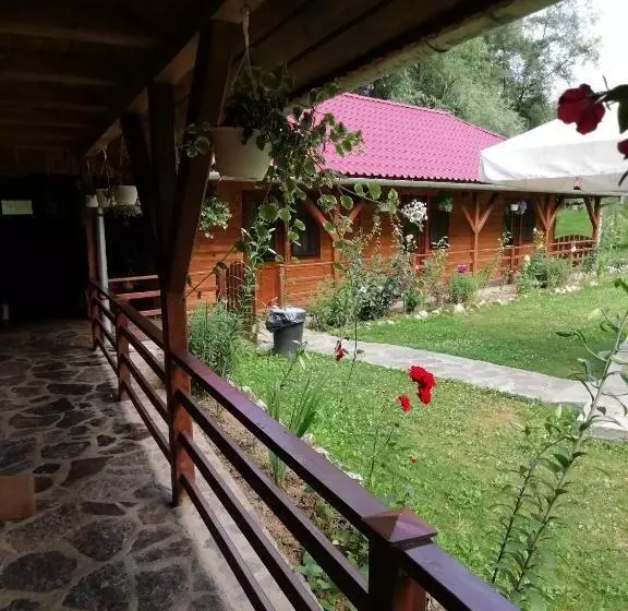 Pensiunea La Busu  Bigar