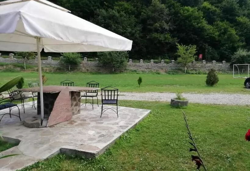 Pensiunea La Busu  Bigar