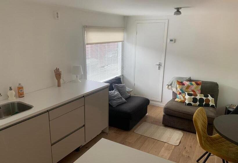 Tiny Houseboat B&b On The Amstel River