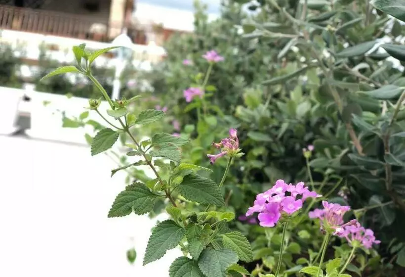Maison Bijou B&b