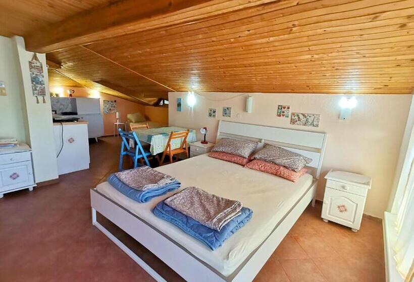 بنسيون вила фани синеморец