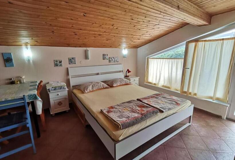 بنسيون вила фани синеморец