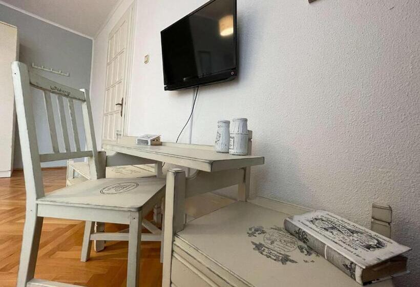 Pensiunea Vila Silva Ii