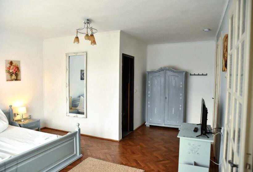 Pensiunea Vila Silva Ii