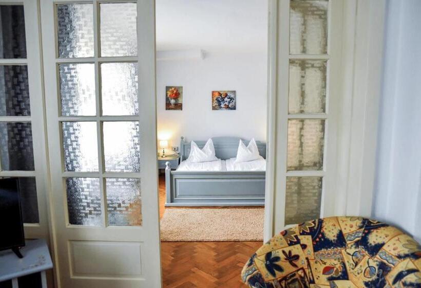 Pensiunea Vila Silva Ii