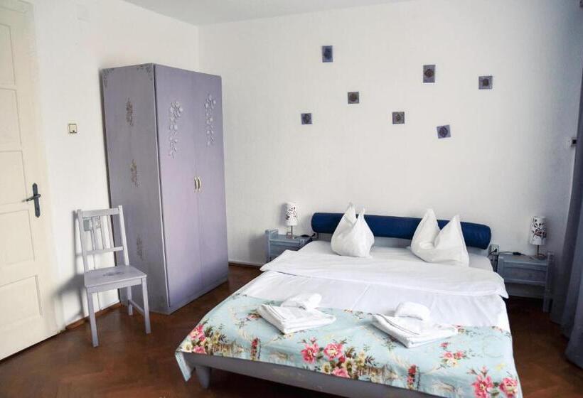 Pensiunea Vila Silva Ii