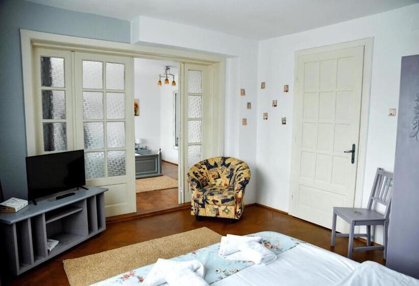 Pensiunea Vila Silva Ii