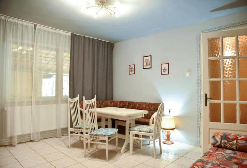 Pensiunea Vila Silva Ii