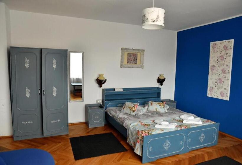 Pensiunea Vila Silva Ii